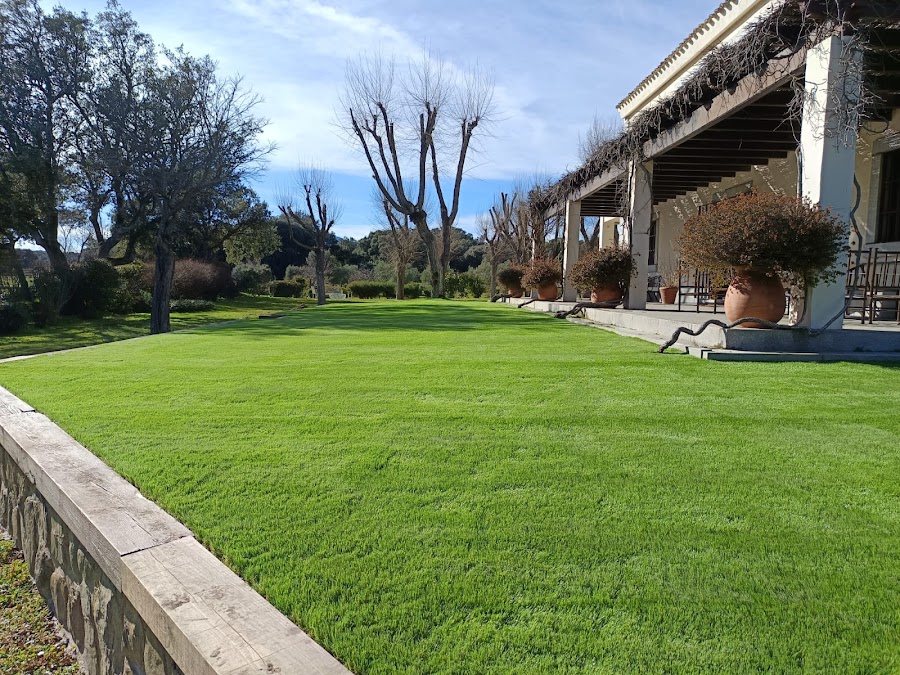 Best Garden Césped Artificial — en Las Rozas