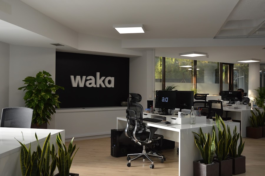 Estudio Branding waka — diseño web en Madrid