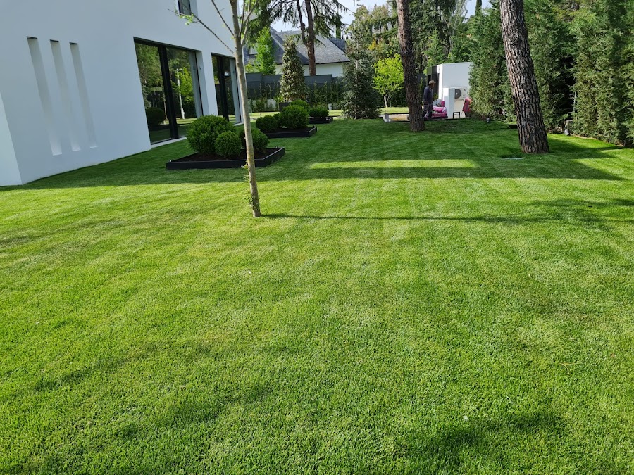 Jardinería Calva, S.L. — en Boadilla del Monte