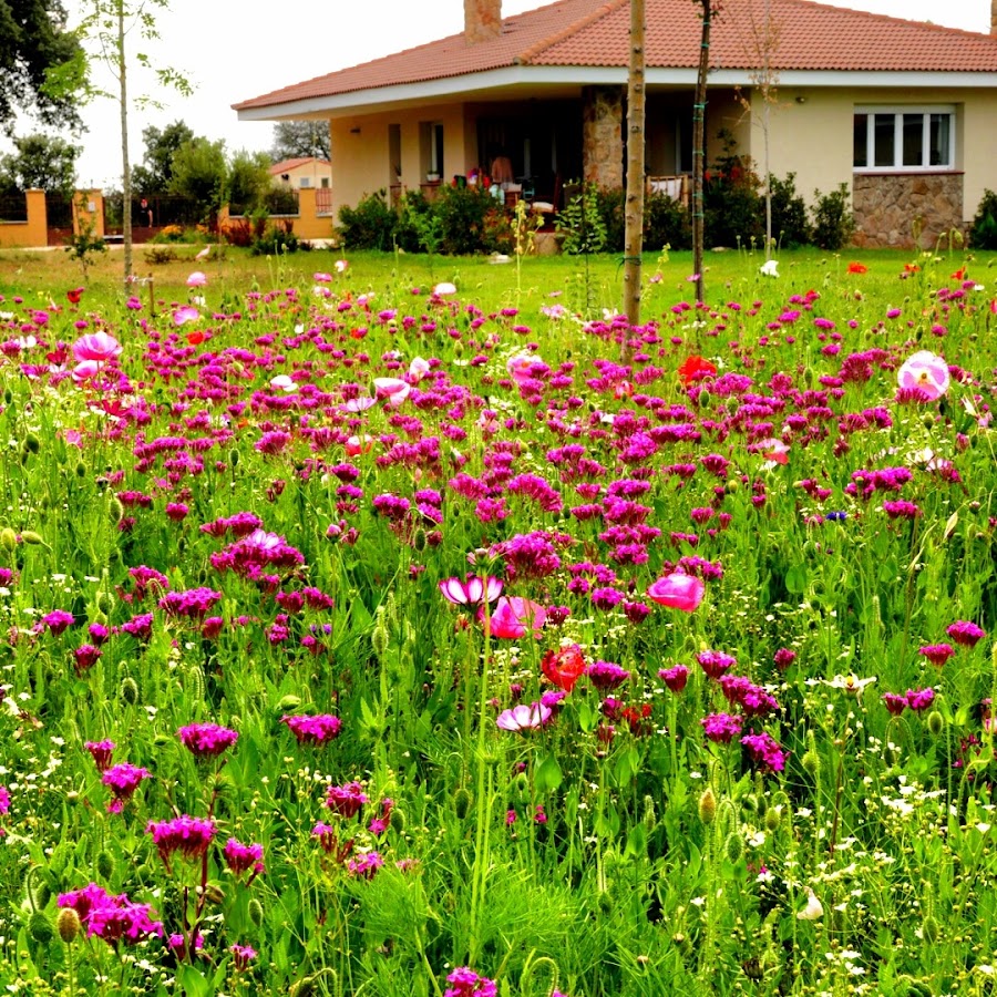 Jardinería Ecológica Maderas Vivas — en Collado Villalba