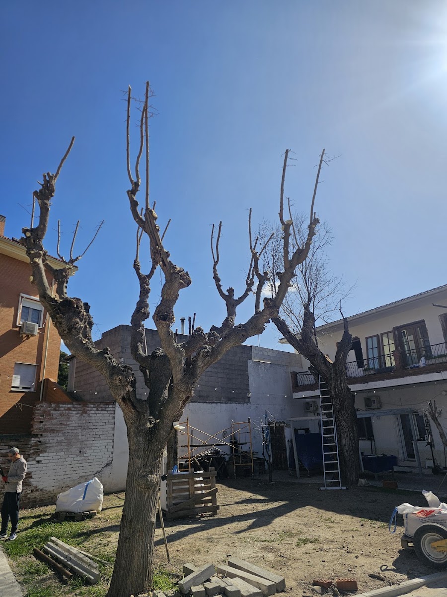 Jardinería y Arboricultura JANA — en Valdemoro