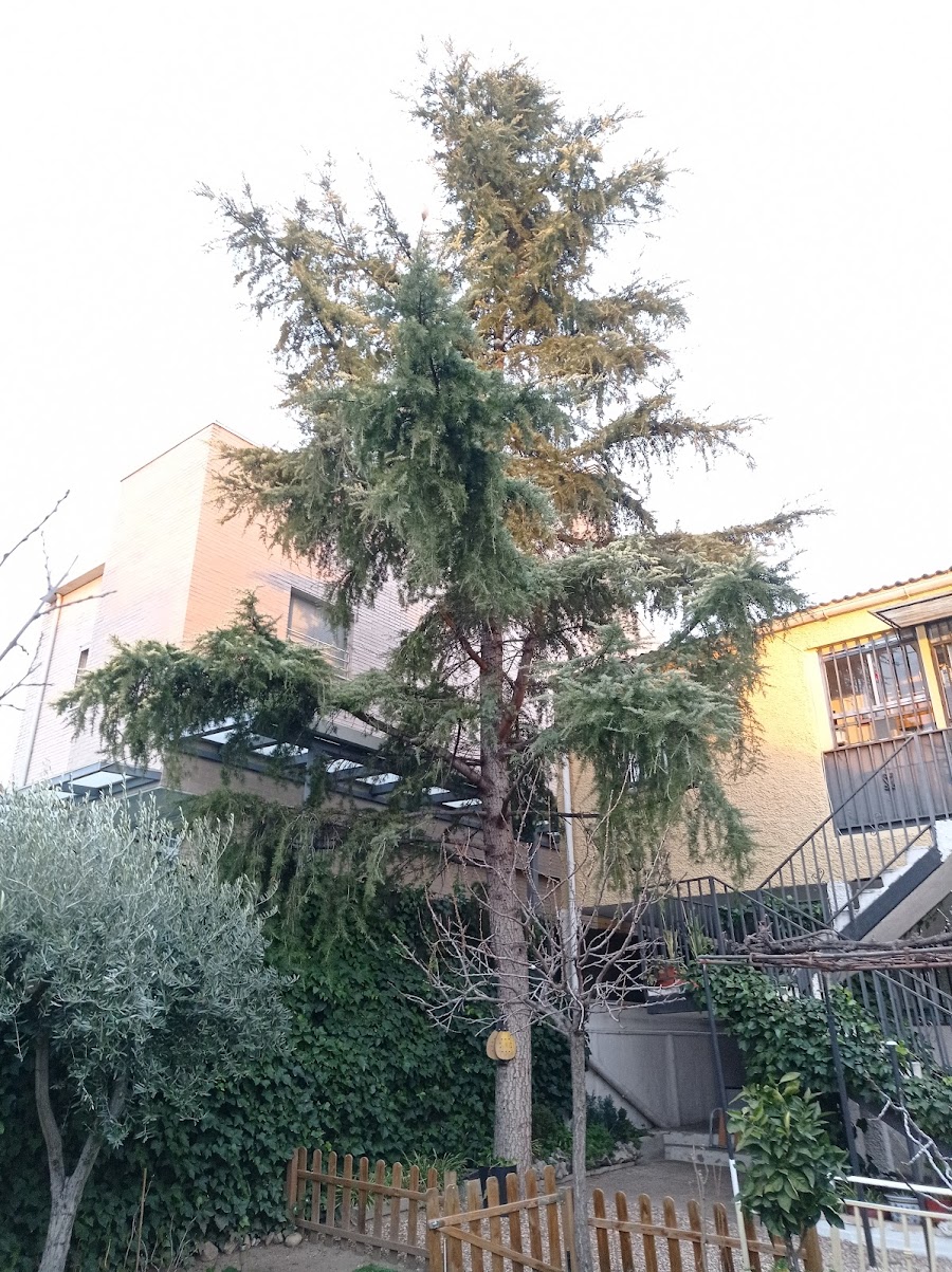 Tu Jardín Madrid — jardineros en Madrid