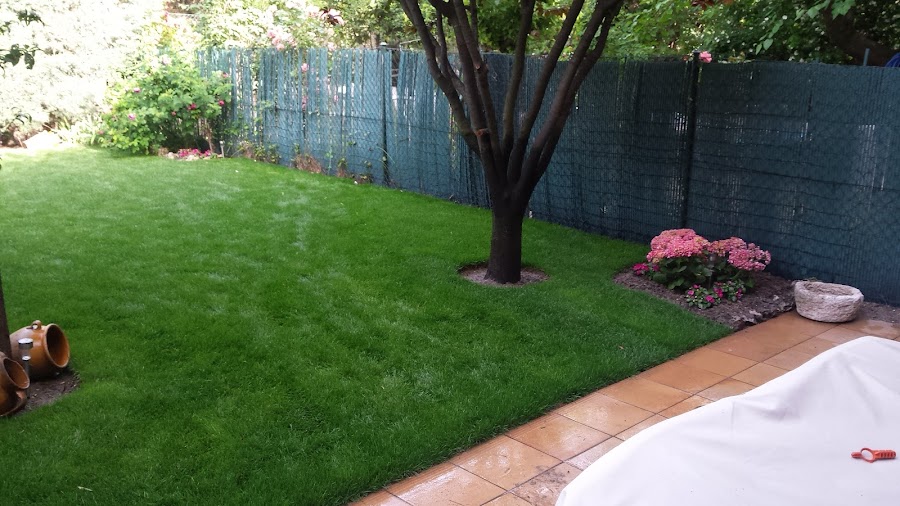 Jardines Punctum — en Pinto