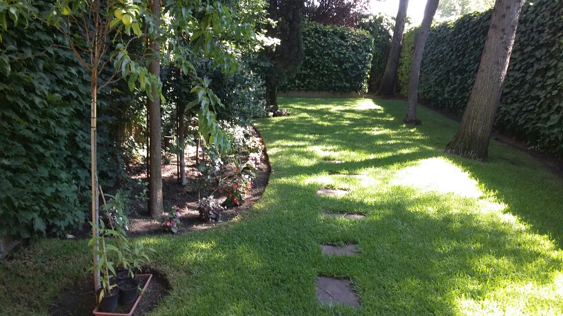 Nelson Servicios De Jardinería — en Alcobendas