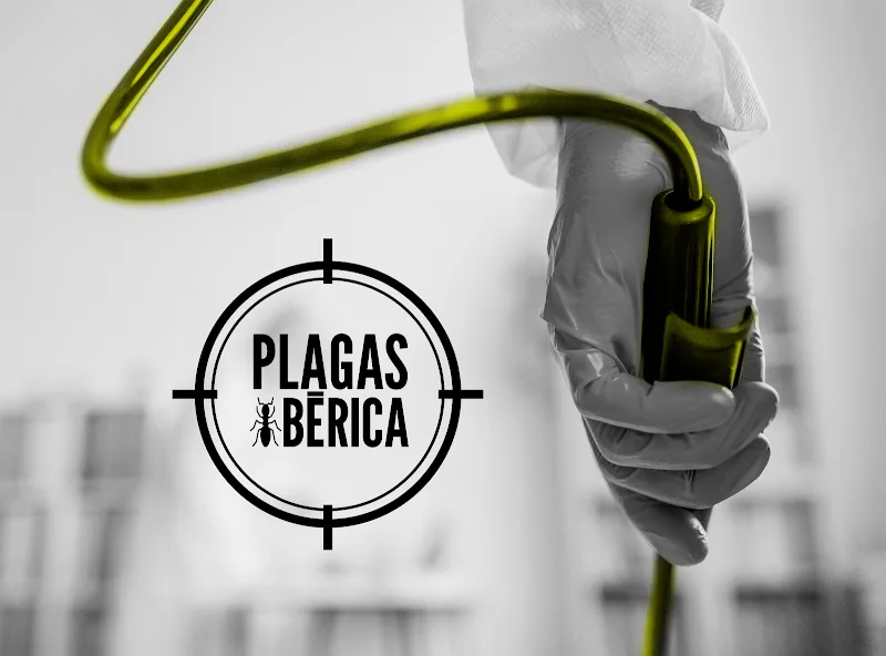 Plagas Ibérica — control de plagas en Chamartín, Madrid