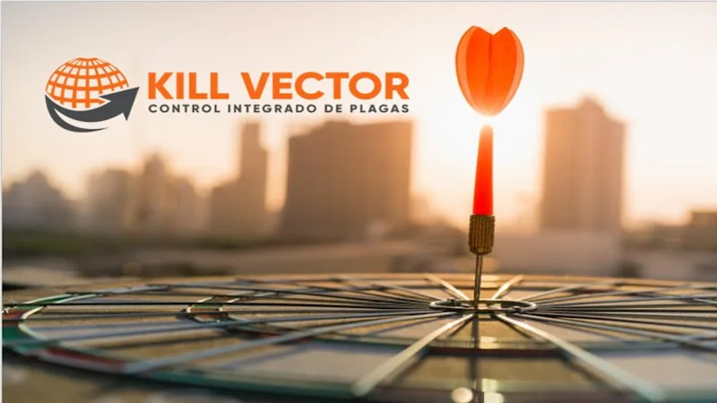 Kill Vector — control de plagas en Pinto, Madrid