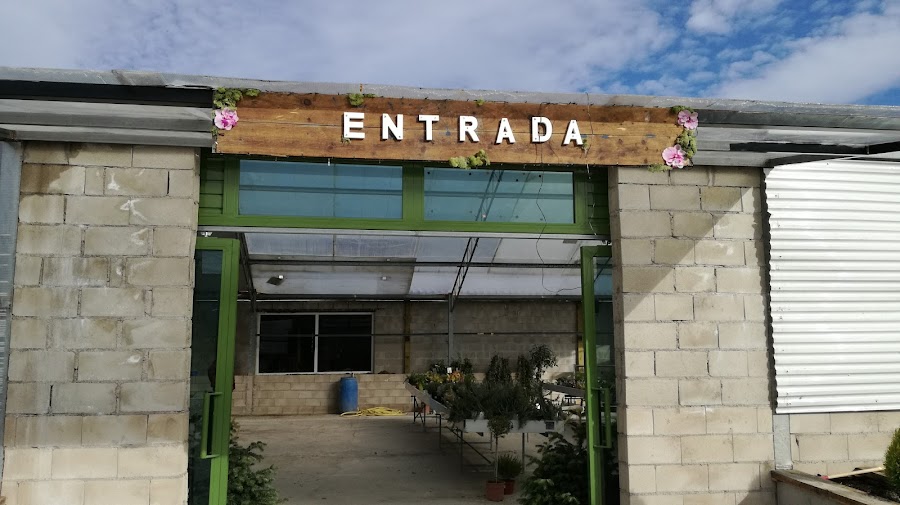 Plantas Tere Vivero — en Valdemoro