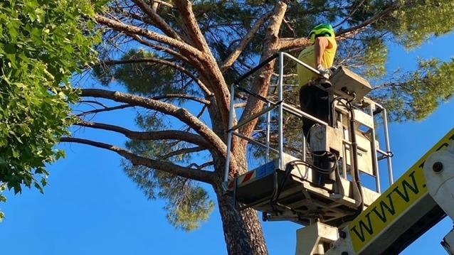 Podas Control S.L. — en Alcobendas