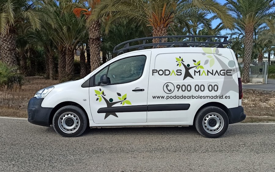 PODAS MANAGE — en Pozuelo de Alarcón