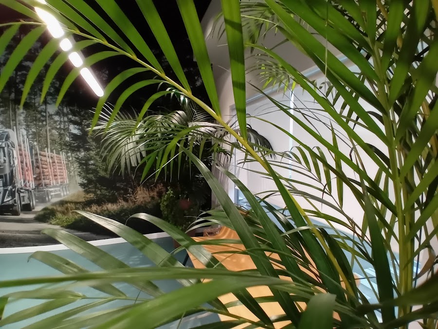 Quercus Jardinería — en Valdemoro