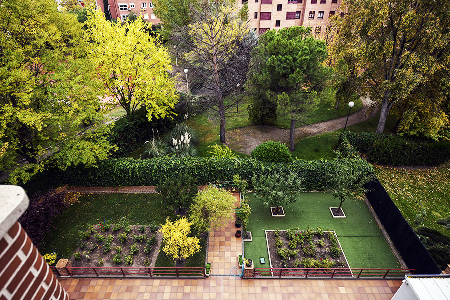 Residencia Las Rosas — residencia de ancianos en Madrid