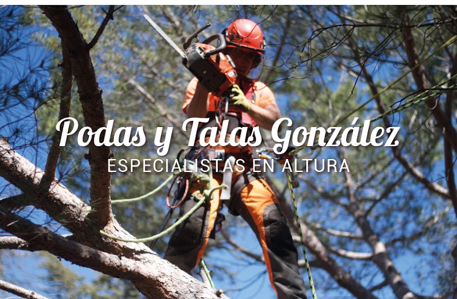 Podas y Talas González — empresa de tala y poda de árboles en Madrid